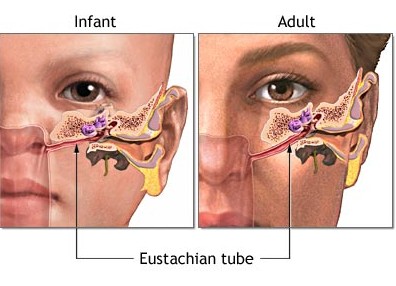 Eustachian Tube Dysfunction Nevada + Sinus Institute